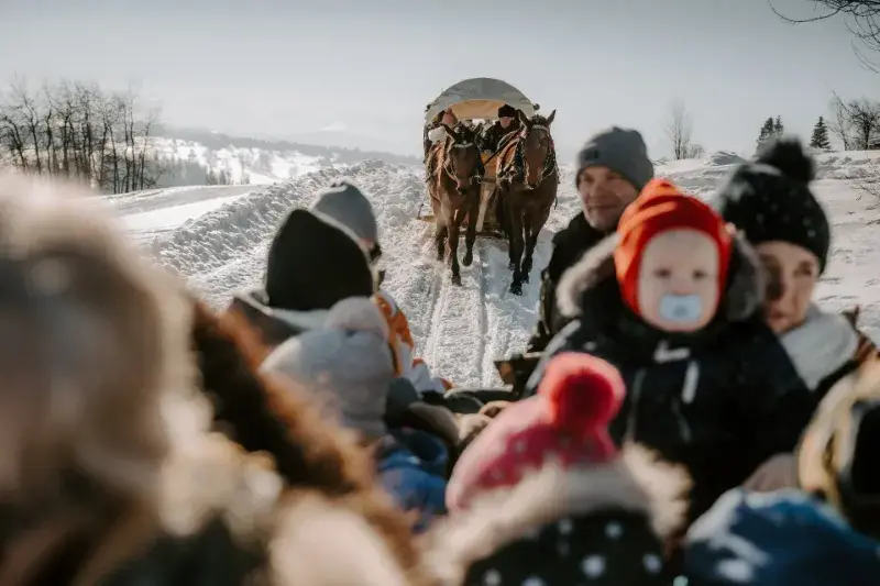 Małe dziecko w czapce w saniach podczas kuligu